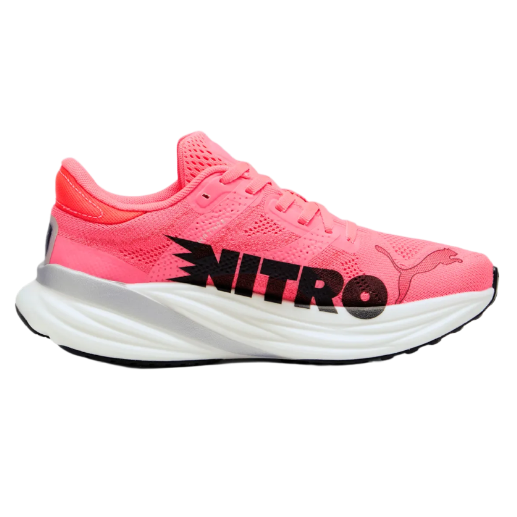 Puma_0e42f815-9673-42a4-b031-5200b3af2812