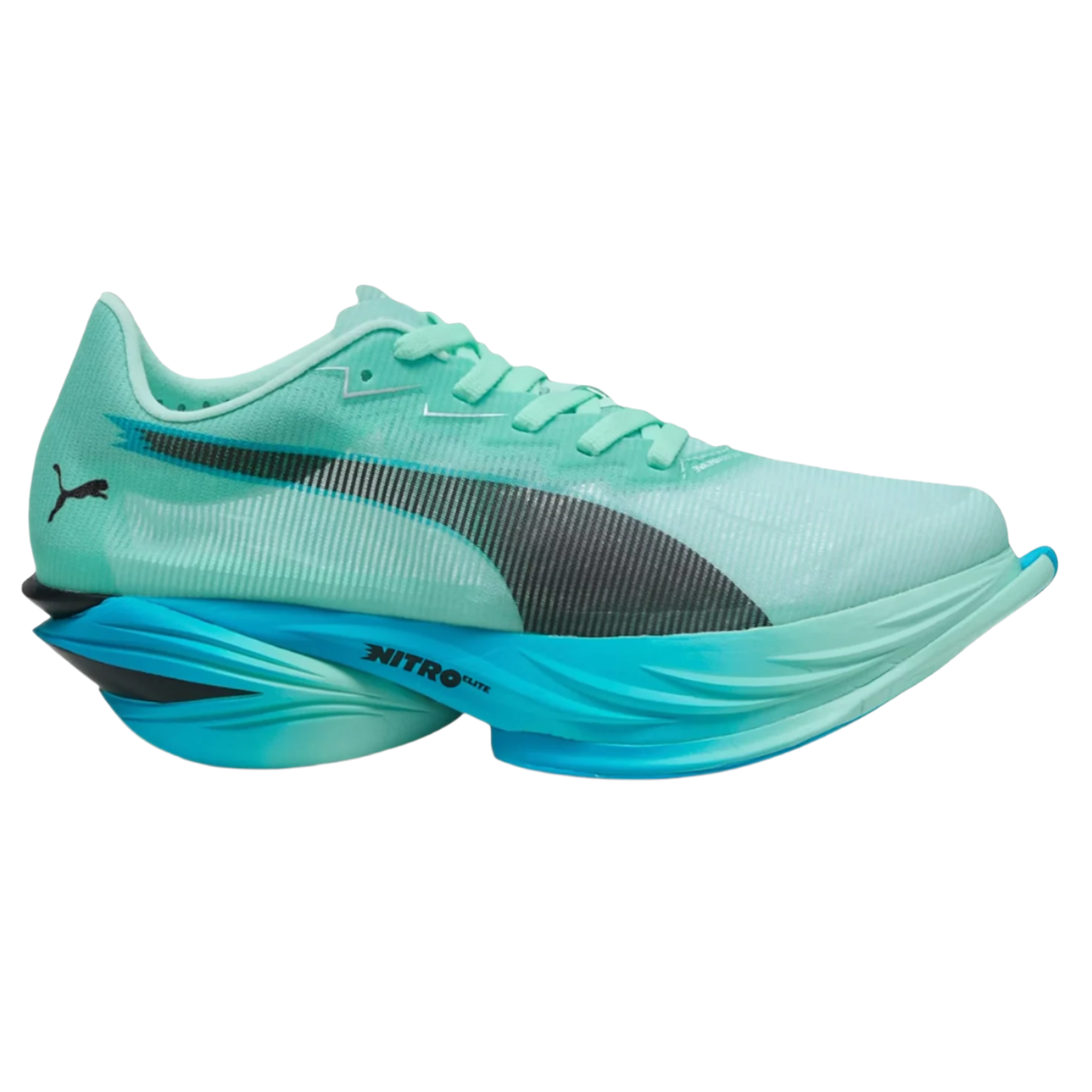 PumamENSFASTR1