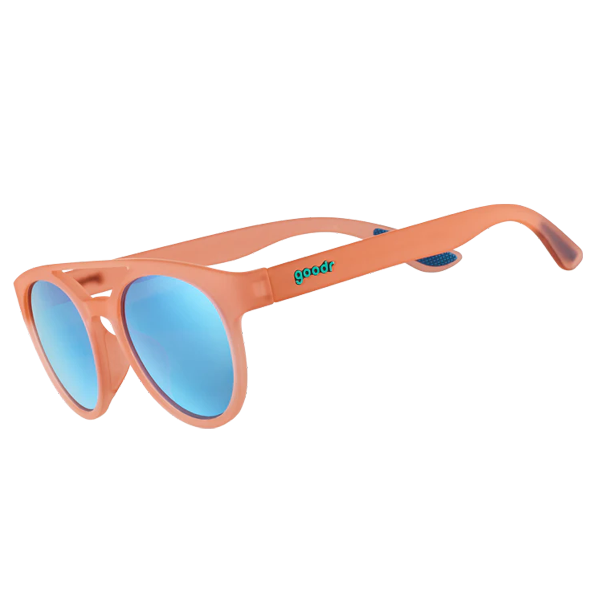 STAYFly1