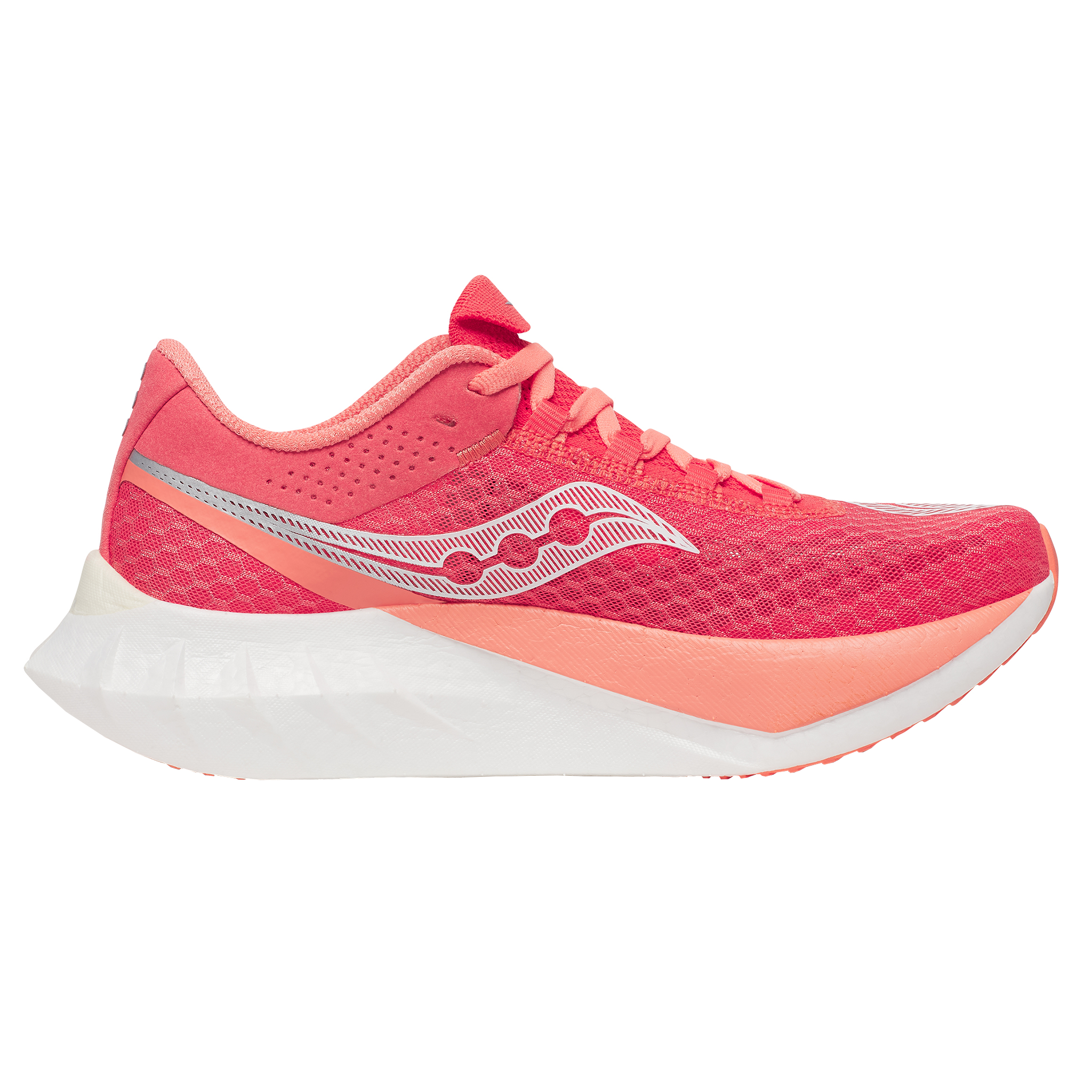 pro4coral01